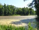 Petergof june2013 22069.JPG