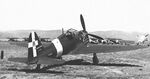 SAI-207 r.jpg