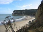 White cliff Bay on the Isle of Wight taken from coastal footpath walking from Bembridge - geograph.org.uk - 1752795.jpg