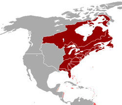 British America.png