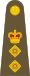 British Army OF-5.svg