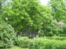 Kronshtadt2012 4620.jpg