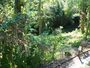 Ravine Gardens SP02.jpg