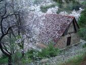 Stavros Agiasmati.JPG