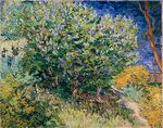 Vincent Willem van Gogh 044.jpg
