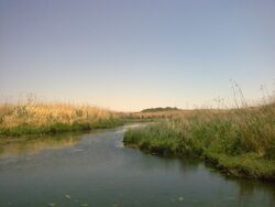 Azraq view.jpg