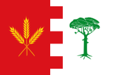 Флаг