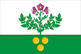 Флаг