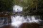 Liffey Falls, Liffey, Tasmania.jpg