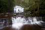 Liffey Falls, Liffey, Tasmania.jpg