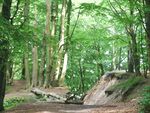 Redłowo - 004.JPG