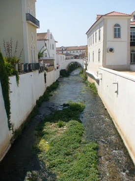 Alcobaça Rio Alcoa (biblioteca).jpg