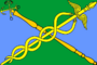 Flag of 78 okrug (St Petersburg).png
