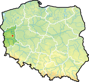 Любжа на карте