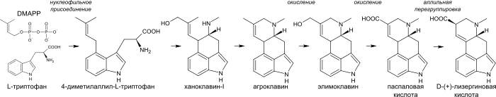 Lysergic acid biosynthesis ru.svg