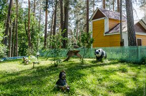 Nikonovo, Gorodishchensky District.jpg