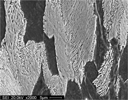 Электронная микрография протравленного шлифа перлита, увеличение 2000X.