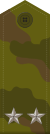 Russia-Army-OF-4-camo.svg