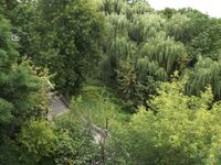 Житомир. Берег реки Тетерев..JPG