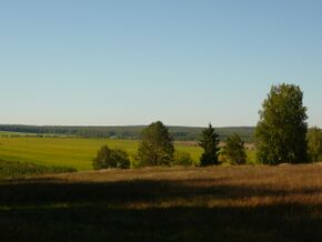 Порек, поля - panoramio.jpg