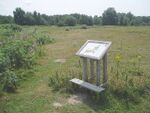 Chailey common nature reserve.jpg
