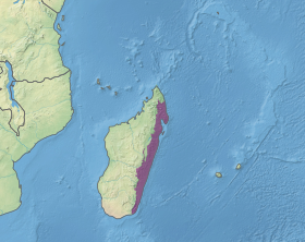 Ecoregion AT0117.svg