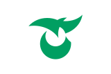 Флаг