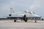 Hawker Siddeley Hawk T1 (HS-1182), UK - Air Force AN1906705.jpg