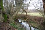 River Line - geograph.org.uk - 1724160.jpg