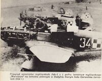 Jaki 1 w Starym Zadybiu.jpg