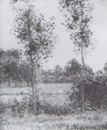 Pissarro - Pissarro and Durand-Ruel Snollaerts, 1500.png