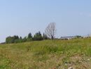 Sankt-Peterburg avgust2013 Krasnosel 163.jpg