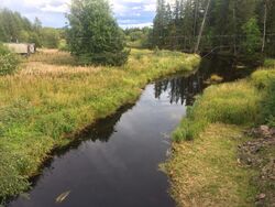 Nägöala myödyvirdua myöte