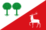Флаг