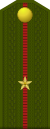 Post-Soviet-Army-OF-1a.svg