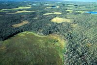 Selawik Refuge Wetlands.jpg
