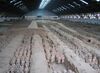 Terracotta Army