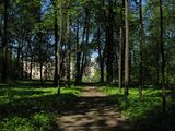 Вид на Большой дворец из Верхнего Голландского сада (Гатчина) - 2008.05.24.jpg