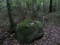 Камень-следовик (Добрый Бор).jpg