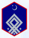 Подполковник.1918.png