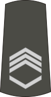 06-Serbian Army-SSFC.svg