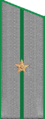погон 1956