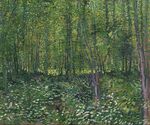 Bos met kreupelhout - s0066V1962 - Van Gogh Museum.jpg
