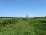 Combe Haven - geograph.org.uk - 1357520.jpg