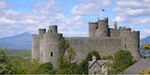 Harlech Castle with Snowdon.jpg