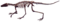 Lagosuchus Talampayensis white background.png