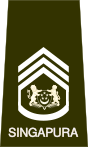 SGEWO-MWO.svg