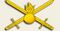 SV-emblem.jpg