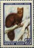 The Soviet Union 1957 CPA 1993 stamp (Sable) (Double print and shift down of black).jpg