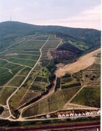Tokaj - Hegyalja-06.jpg